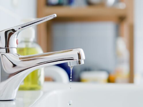 Plumbing Maintenance in Taylors, SC